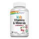 Дитячі вітаміни та мінерали, Kids Vitamins & Minerals - 120 chewables Black Cherry 2022-10-1788 фото 1